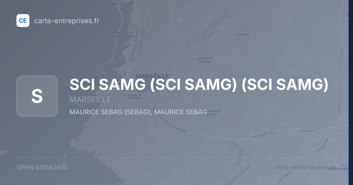 SCI SAMG (SCI SAMG) (SCI SAMG) — 539562900 — fiche entreprise