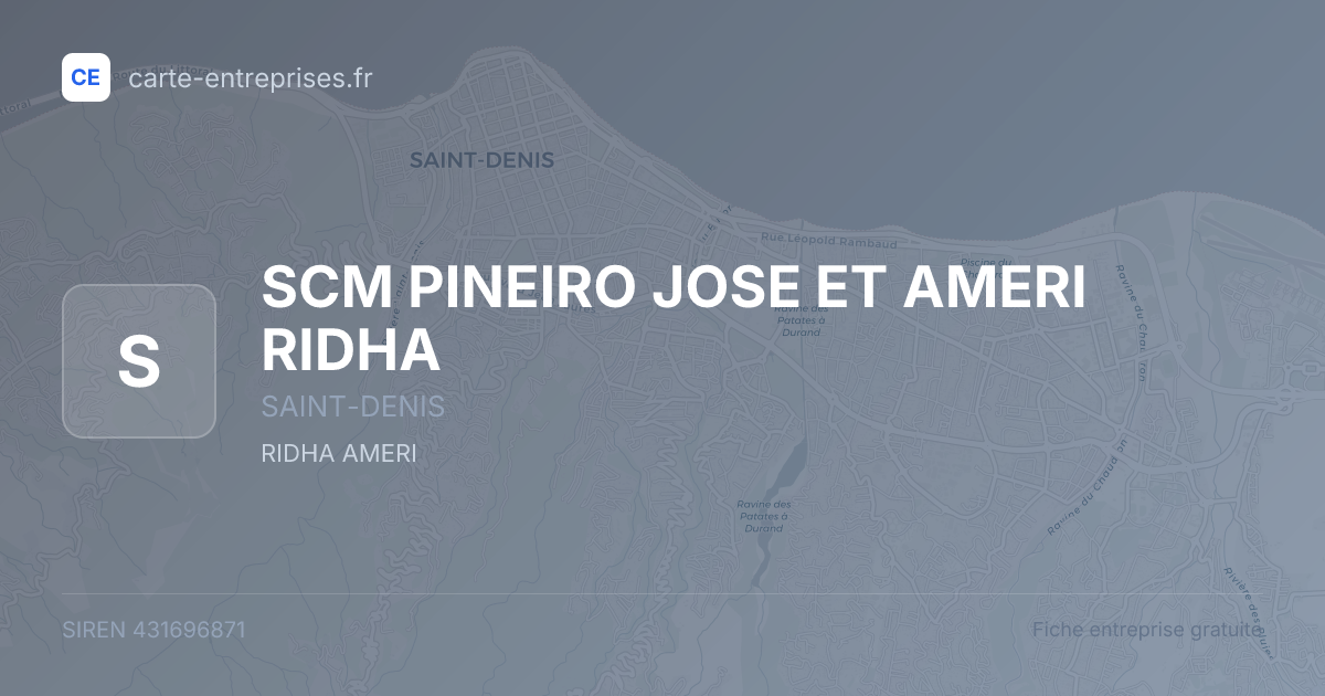 SCM PINEIRO JOSE ET AMERI RIDHA — 431696871 — fiche entreprise