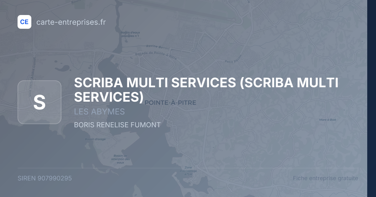 SCRIBA MULTI SERVICES — 907990295 — fiche entreprise