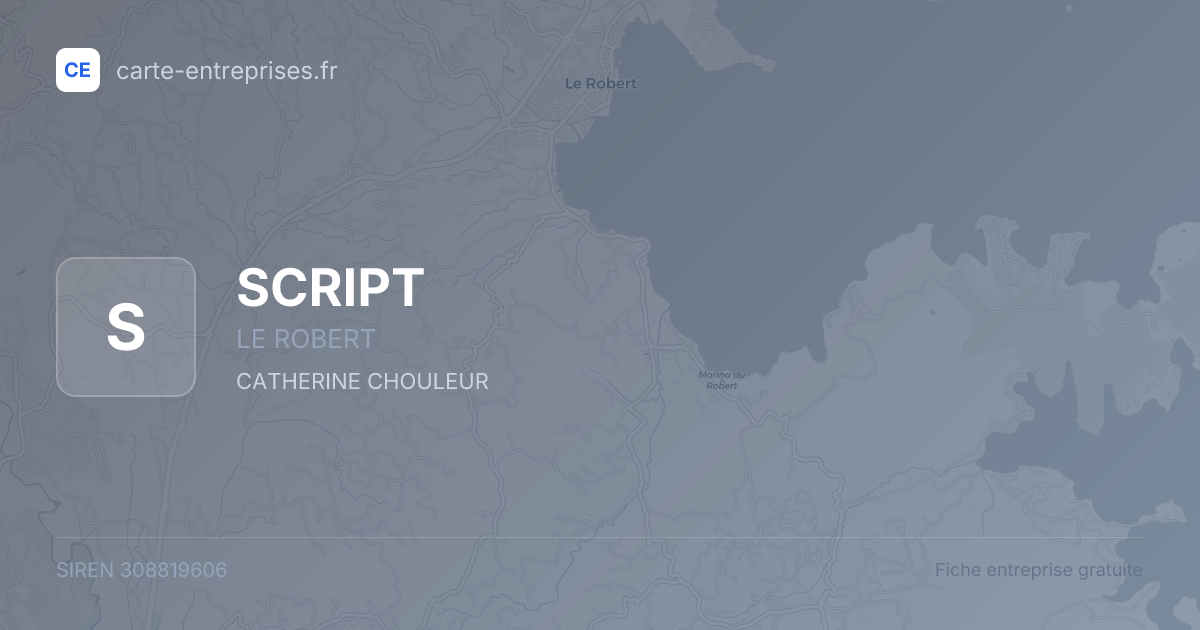 SCRIPT — 308819606 — fiche entreprise