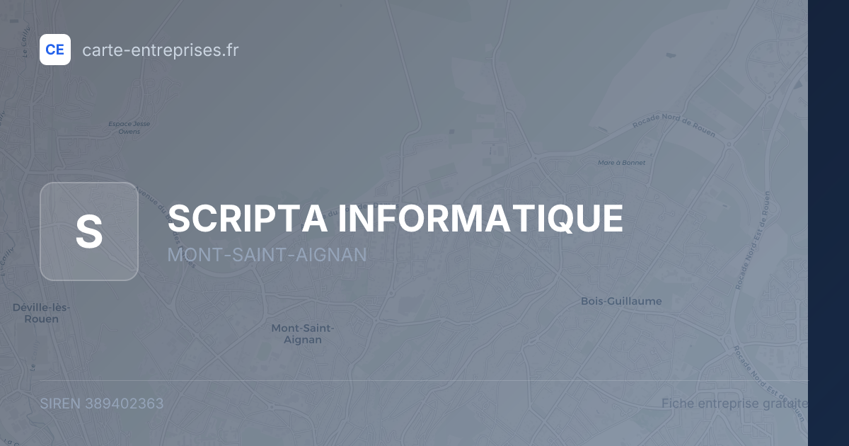 SCRIPTA INFORMATIQUE — 389402363 — fiche entreprise