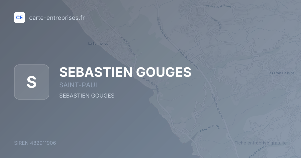 SEBASTIEN GOUGES — 482911906 — fiche entreprise