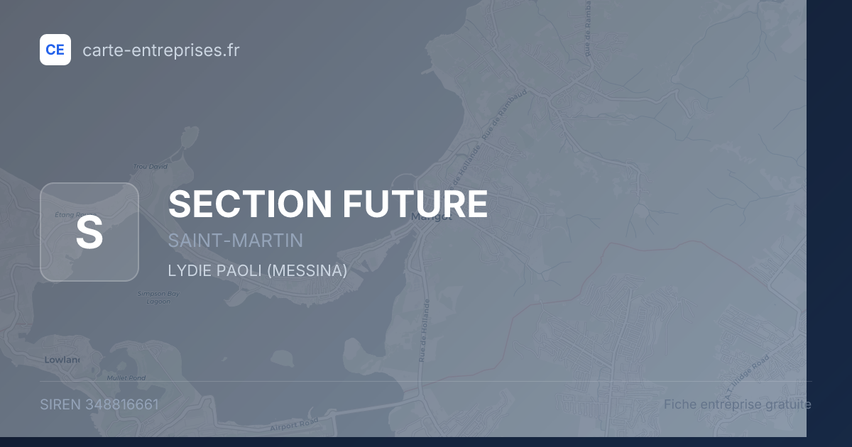 SECTION FUTURE — 348816661 — fiche entreprise