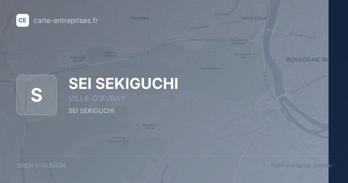 SEI SEKIGUCHI — 413435504 — fiche entreprise