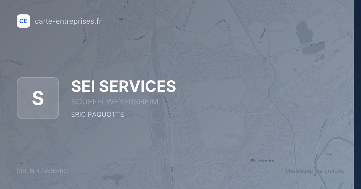 SEI SERVICES — 479595407 — fiche entreprise