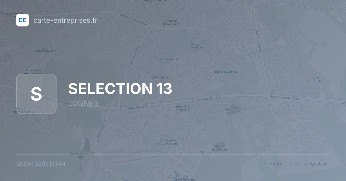SELECTION 13 — 320315344 — fiche entreprise