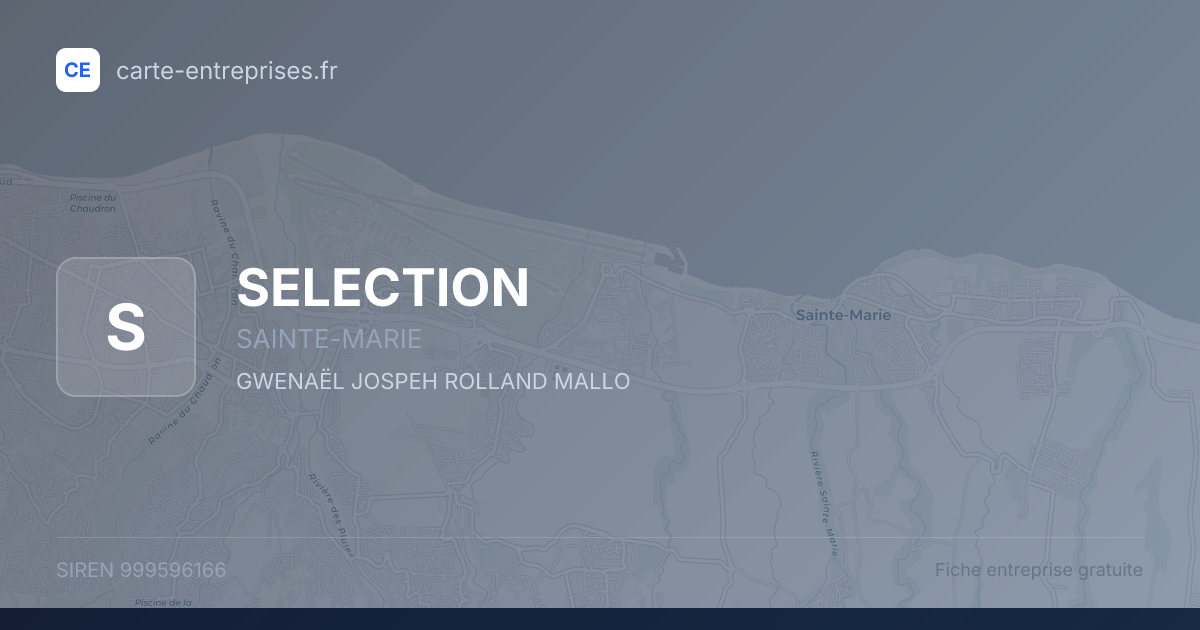 SELECTION — 999596166 — fiche entreprise