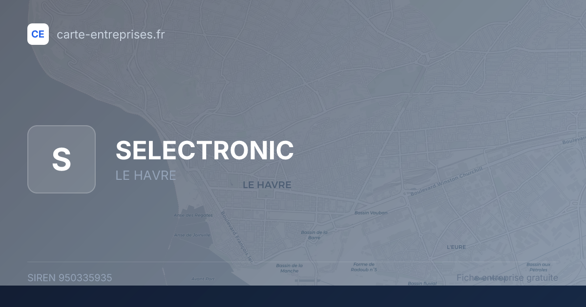 SELECTRONIC — 950335935 — fiche entreprise