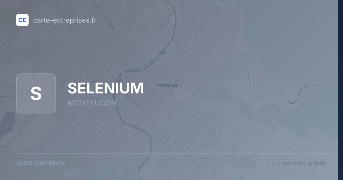 SELENIUM — 848749545 — fiche entreprise
