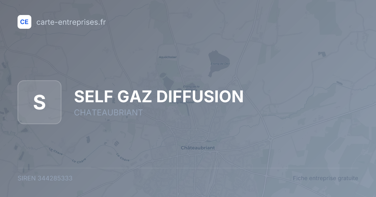 SELF GAZ DIFFUSION — 344285333 — fiche entreprise