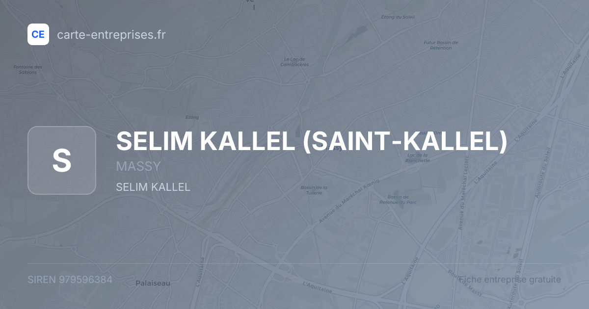 SELIM KALLEL (SAINT-KALLEL) — 979596384 — fiche entreprise