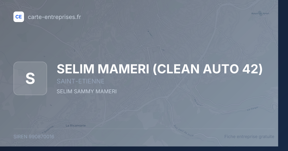 SELIM MAMERI (CLEAN AUTO 42) — 990870016 — fiche entreprise