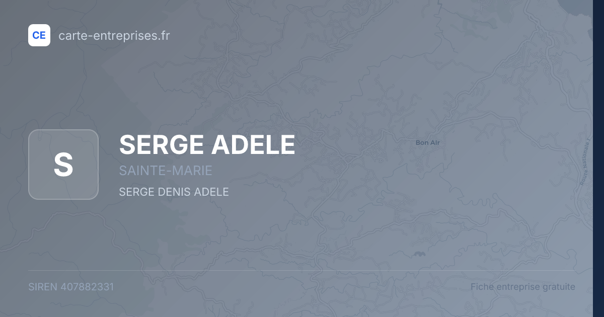 SERGE ADELE — 407882331 — fiche entreprise