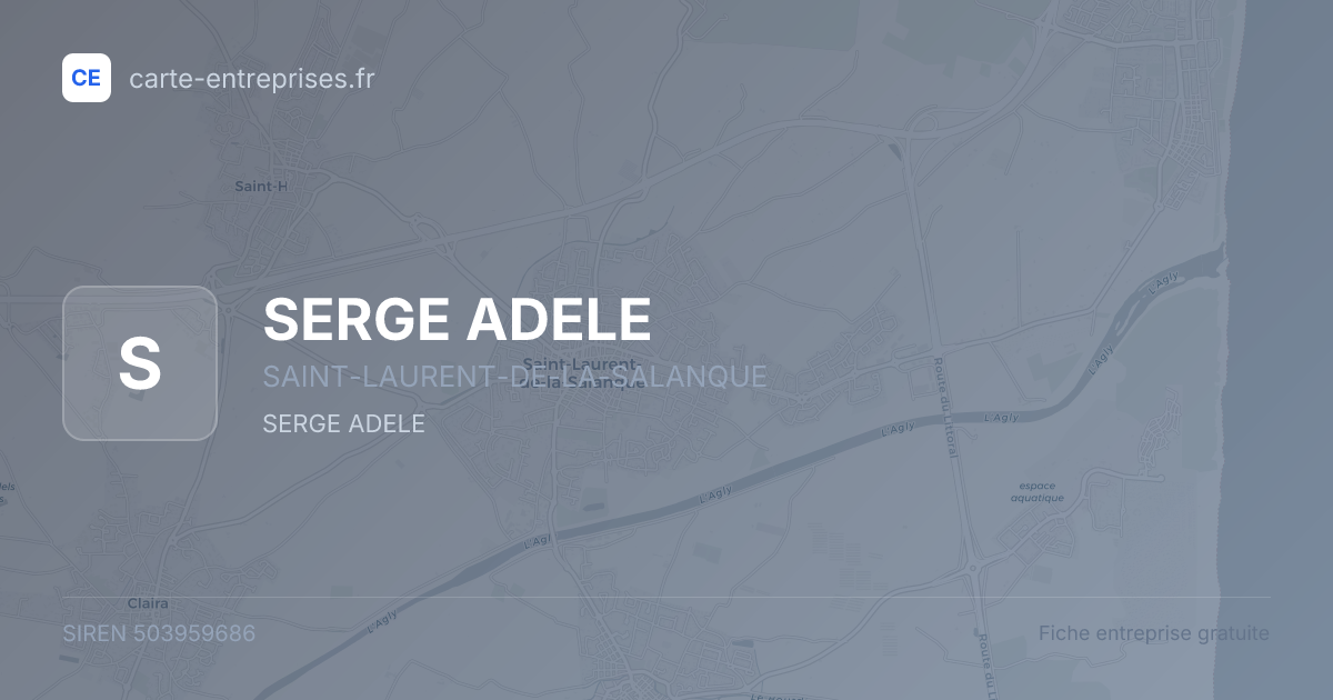 SERGE ADELE — 503959686 — fiche entreprise