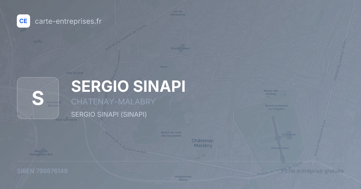 SERGIO SINAPI — 799876149 — fiche entreprise