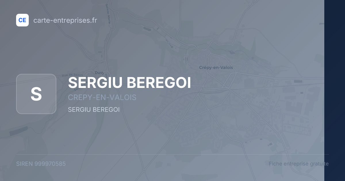SERGIU BEREGOI — 999970585 — fiche entreprise
