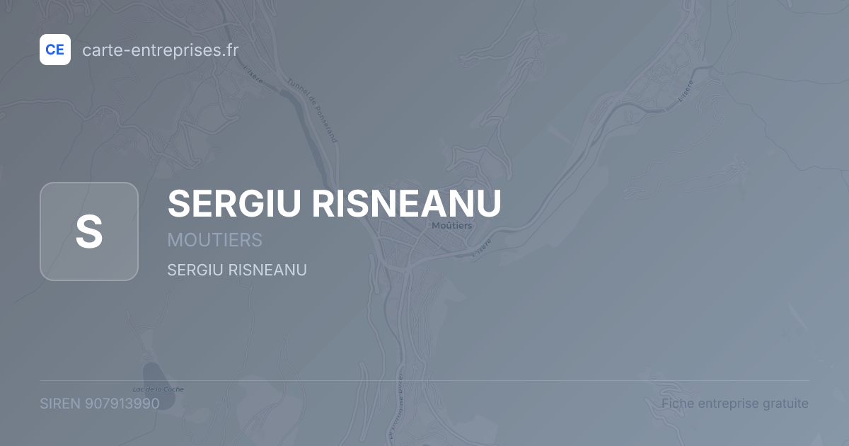 SERGIU RISNEANU — 907913990 — fiche entreprise