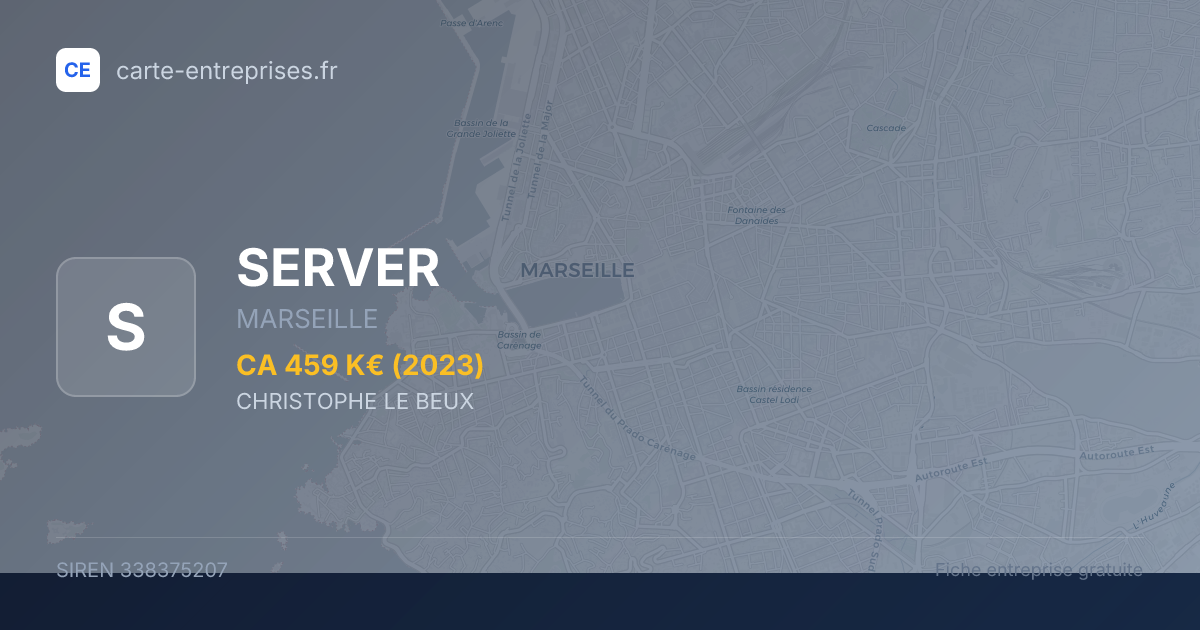 SERVER — 338375207 — fiche entreprise