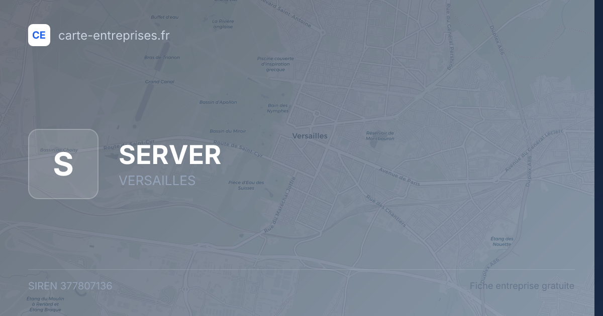 SERVER — 377807136 — fiche entreprise