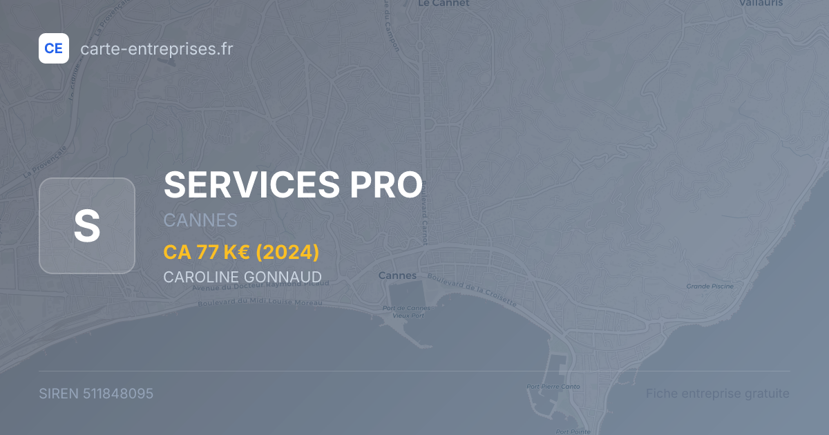 SERVICES PRO — 511848095 — fiche entreprise