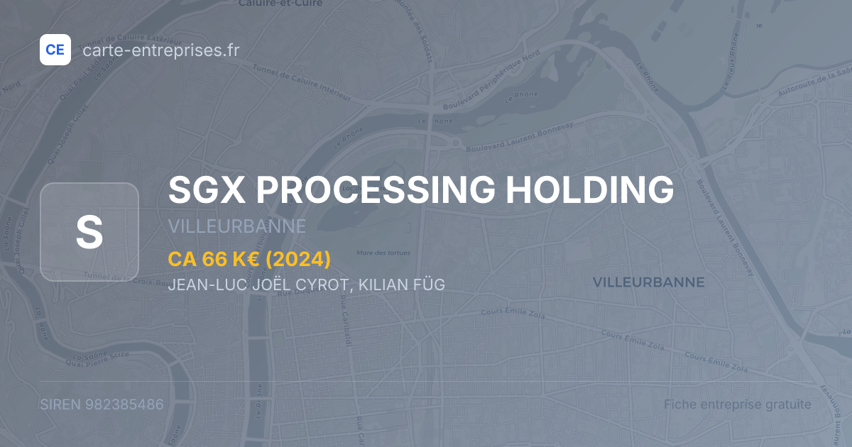 SGX PROCESSING HOLDING — 982385486 — fiche entreprise