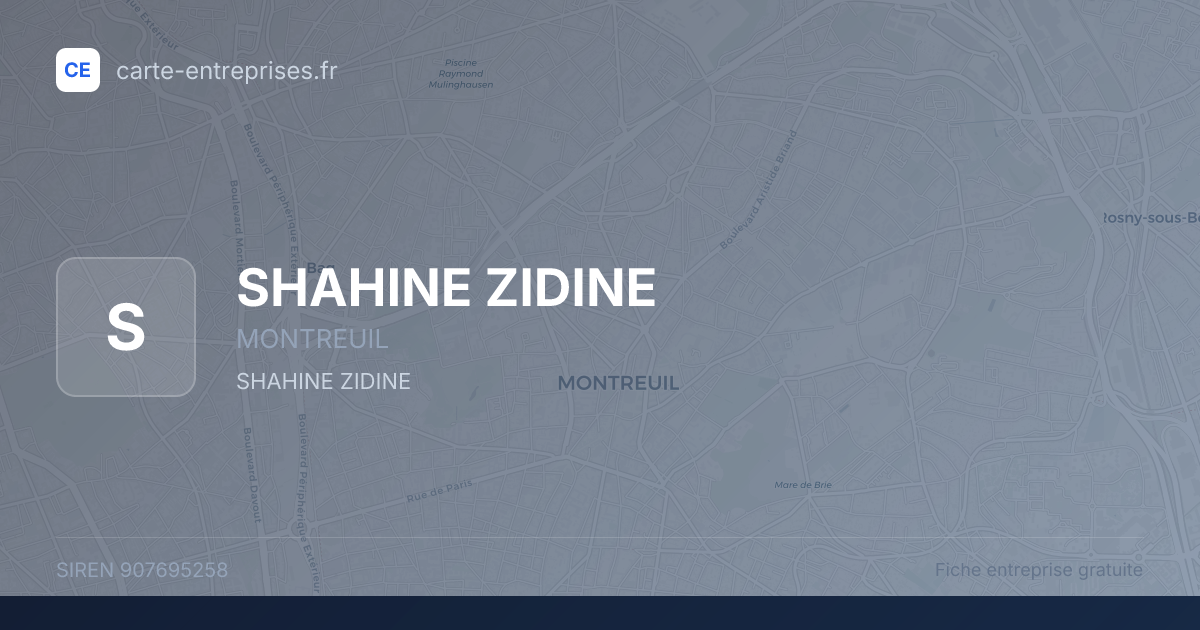 SHAHINE ZIDINE — 907695258 — fiche entreprise