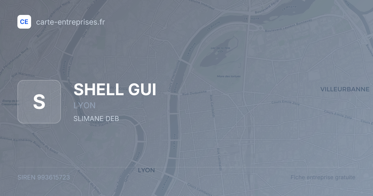 SHELL GUI — 993615723 — fiche entreprise
