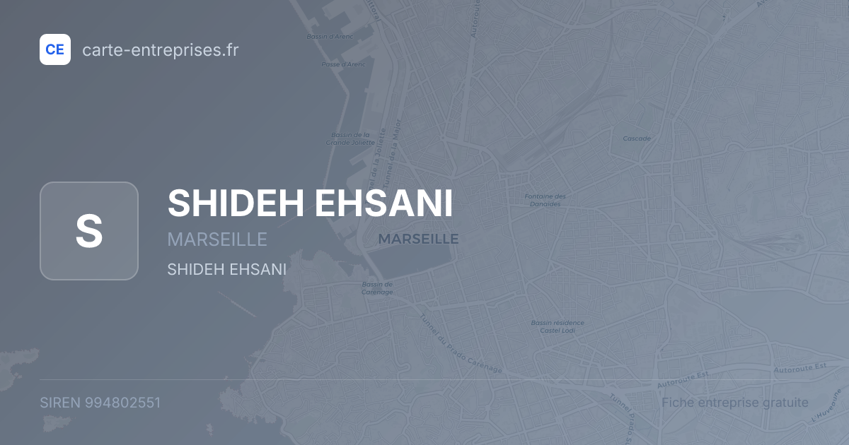SHIDEH EHSANI — 994802551 — fiche entreprise