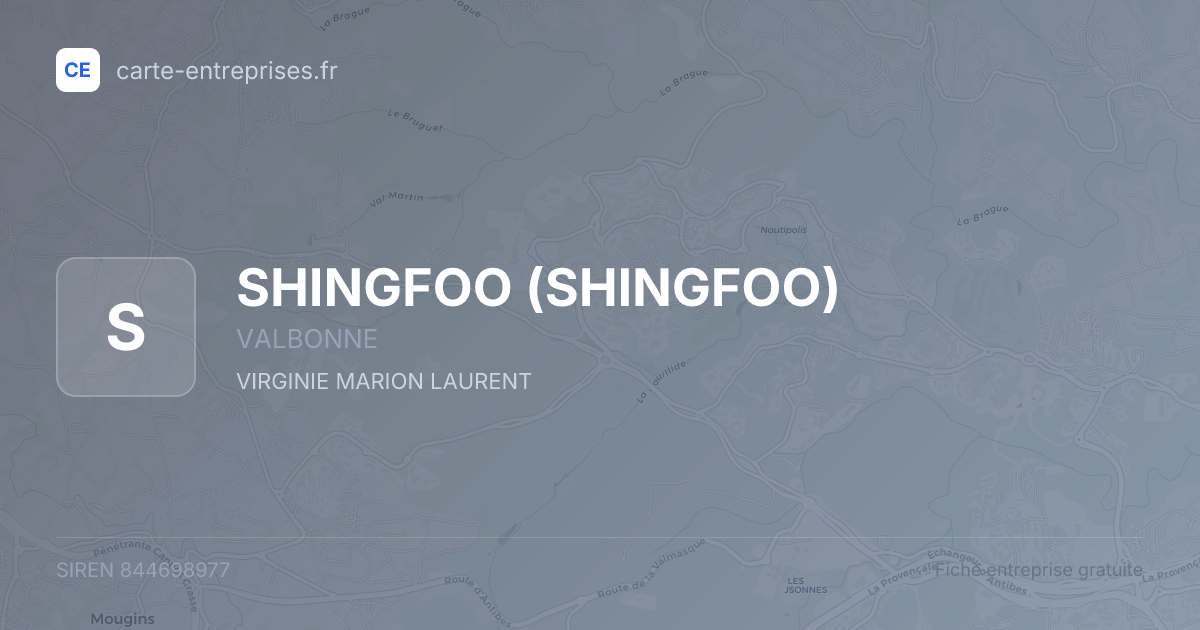 SHINGFOO — 844698977 — fiche entreprise