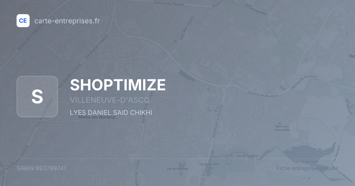 SHOPTIMIZE — 993799741 — fiche entreprise
