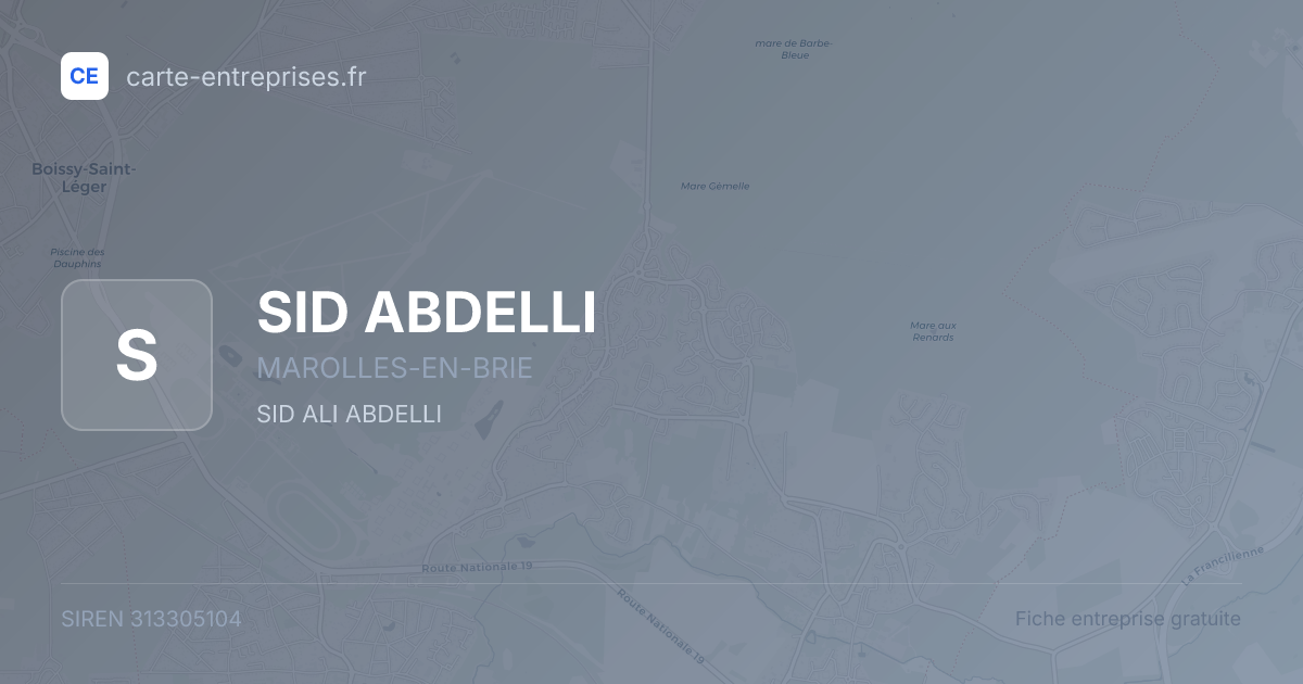 SID ABDELLI — 313305104 — fiche entreprise