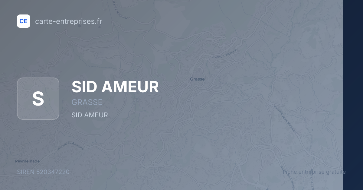 SID AMEUR — 520347220 — fiche entreprise