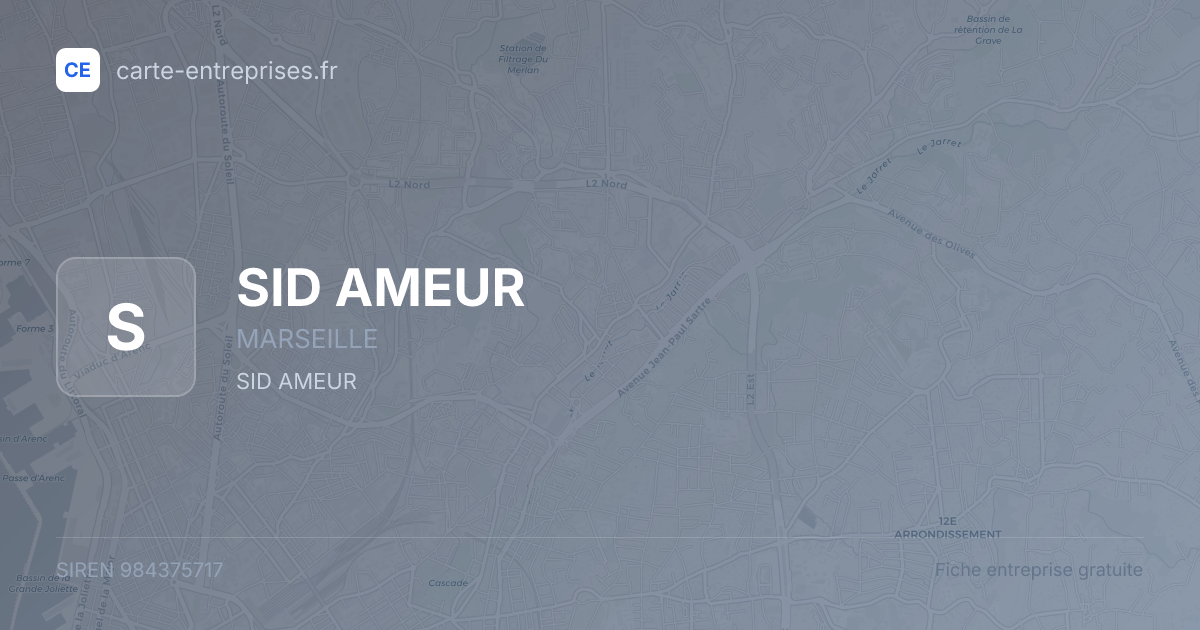SID AMEUR — 984375717 — fiche entreprise