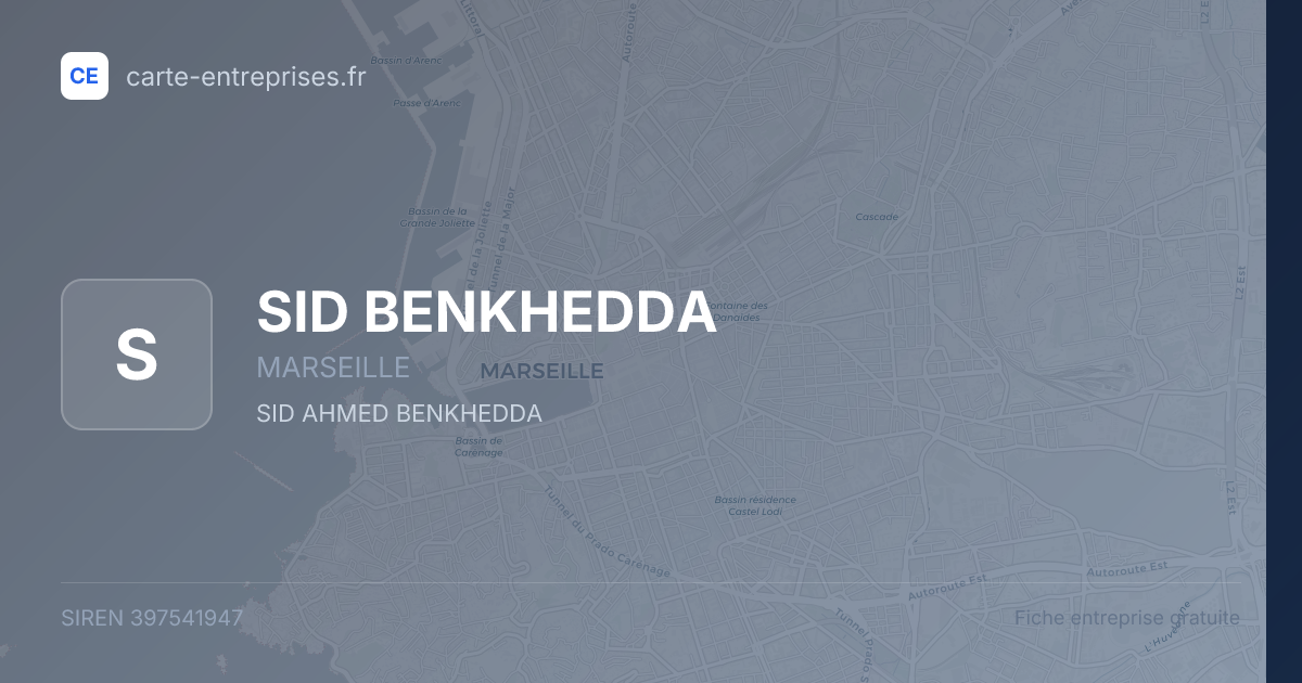 SID BENKHEDDA — 397541947 — fiche entreprise