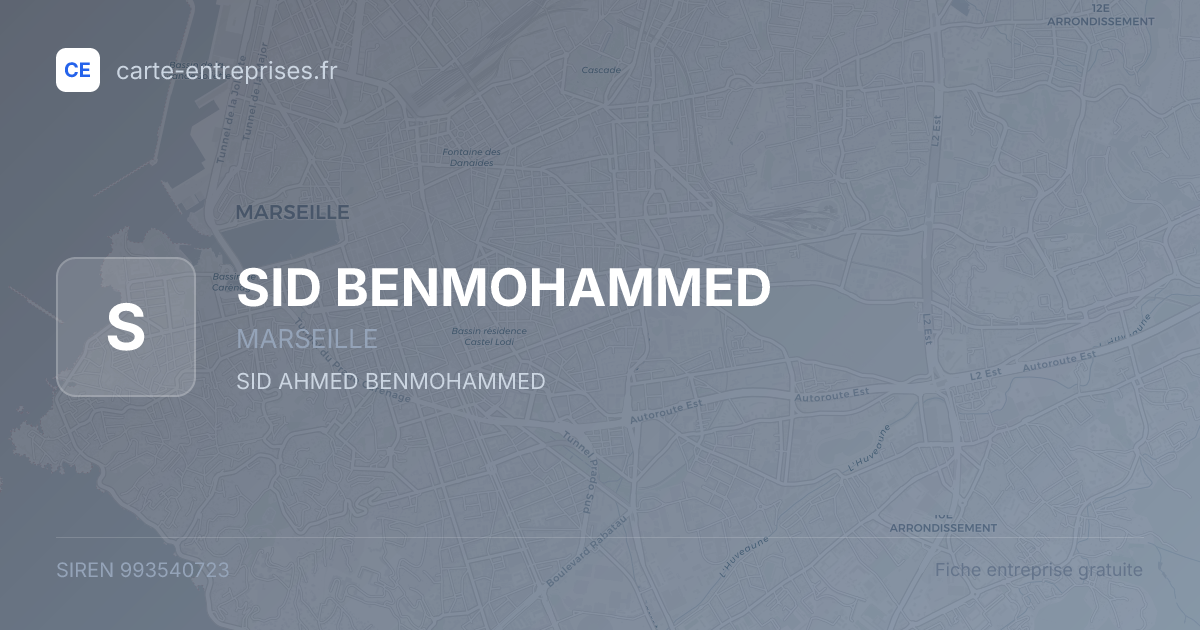 SID BENMOHAMMED — 993540723 — fiche entreprise