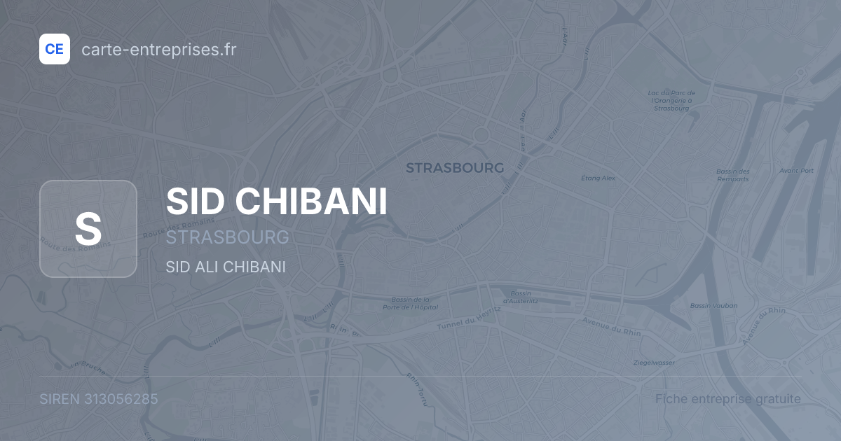 SID CHIBANI — 313056285 — fiche entreprise