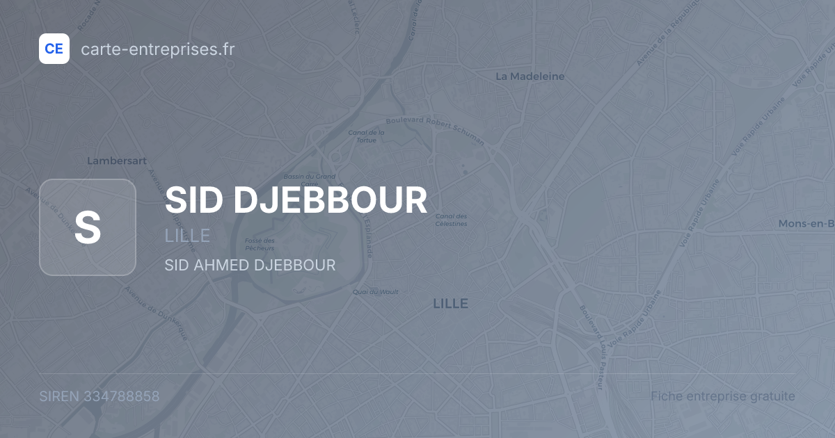 SID DJEBBOUR — 334788858 — fiche entreprise