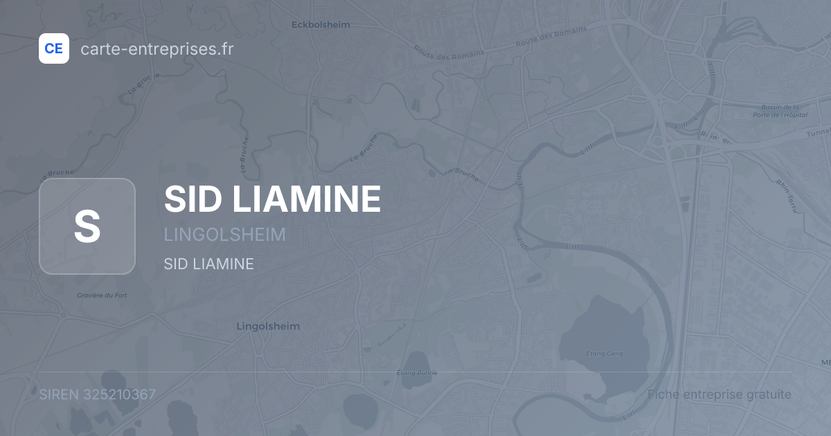SID LIAMINE — 325210367 — fiche entreprise