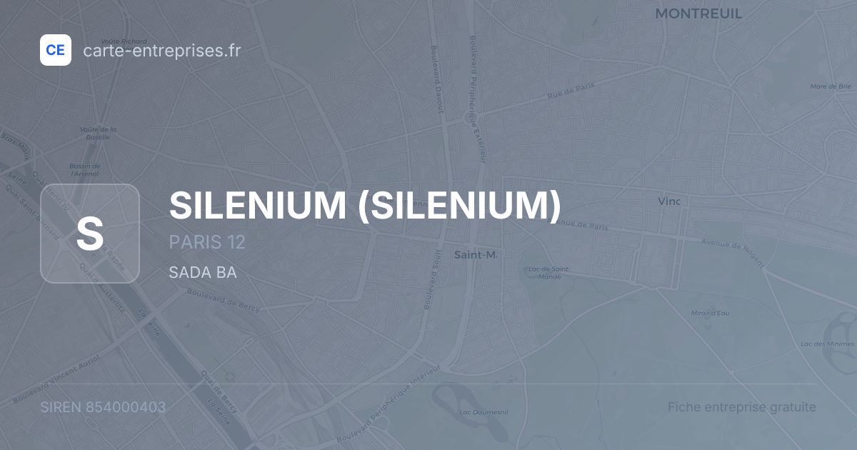 SILENIUM — 854000403 — fiche entreprise