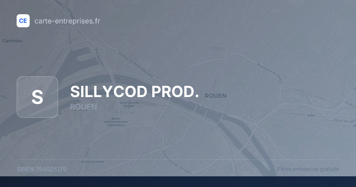 SILLYCOD PROD. — 754025179 — fiche entreprise