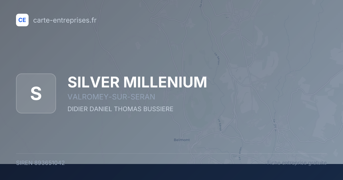 SILVER MILLENIUM — 893651042 — fiche entreprise