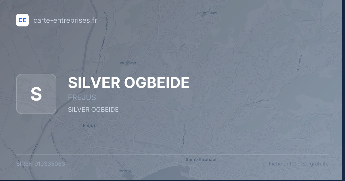 SILVER OGBEIDE — 919335083 — fiche entreprise