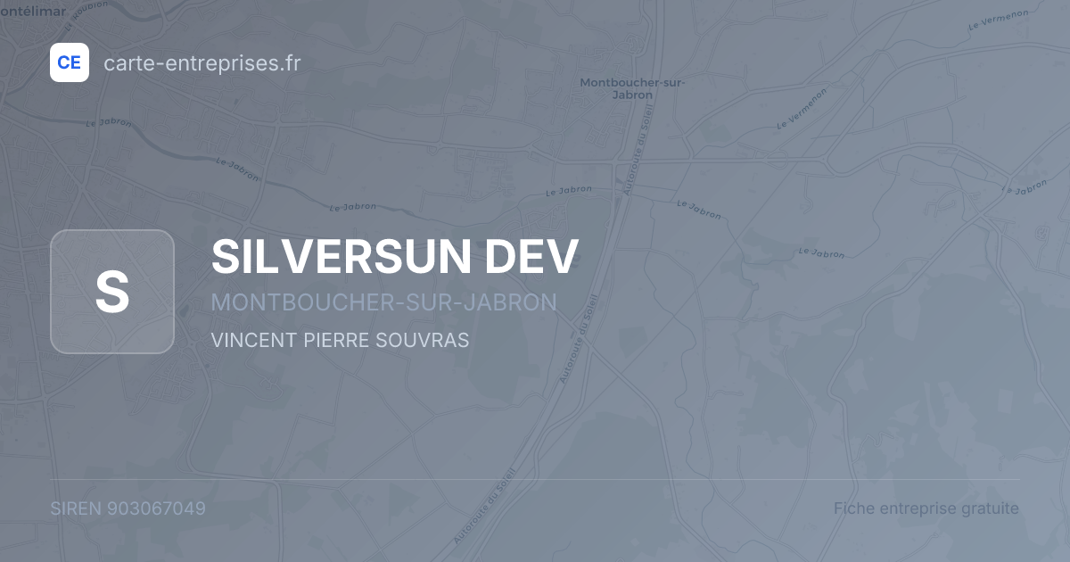 SILVERSUN DEV — 903067049 — fiche entreprise