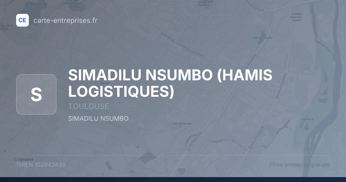 SIMADILU NSUMBO (HAMIS LOGISTIQUES) — 102942448 — fiche entreprise