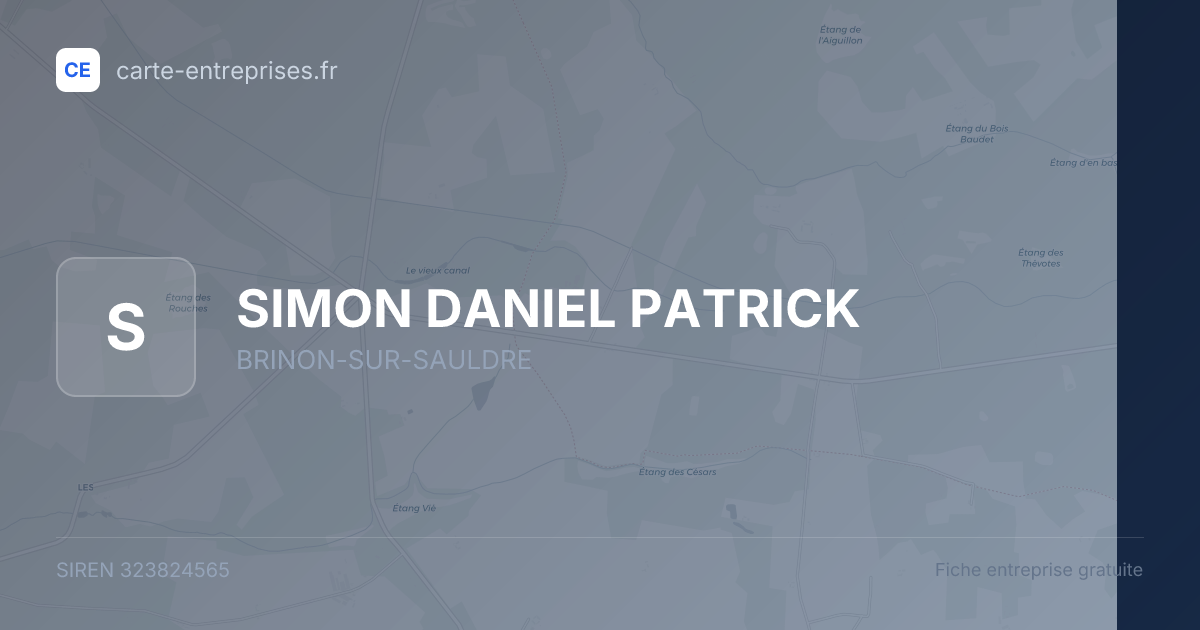 SIMON DANIEL PATRICK — 323824565 — fiche entreprise