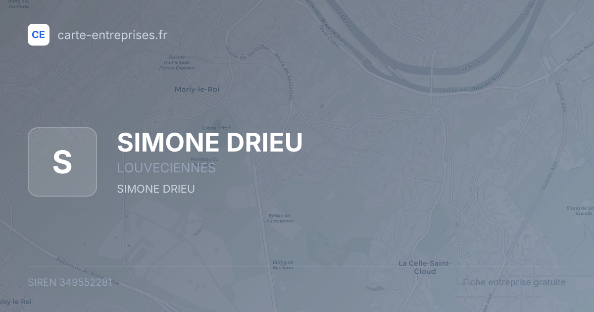 SIMONE DRIEU — 349552281 — fiche entreprise