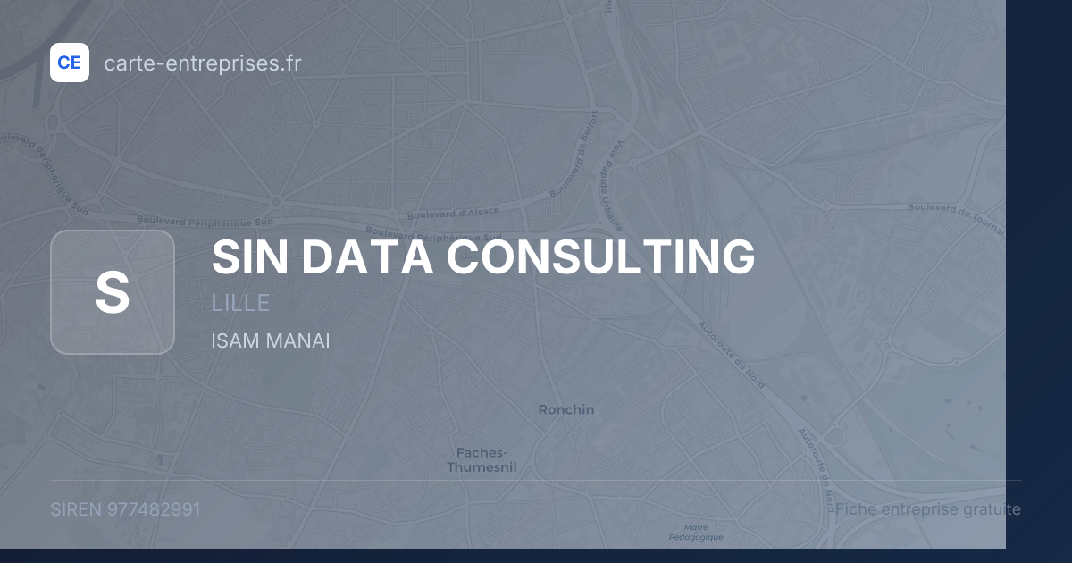 SIN DATA CONSULTING — 977482991 — fiche entreprise