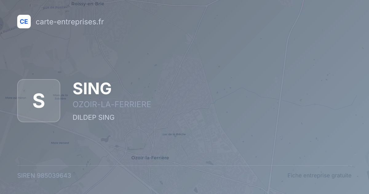 SING — 985039643 — fiche entreprise