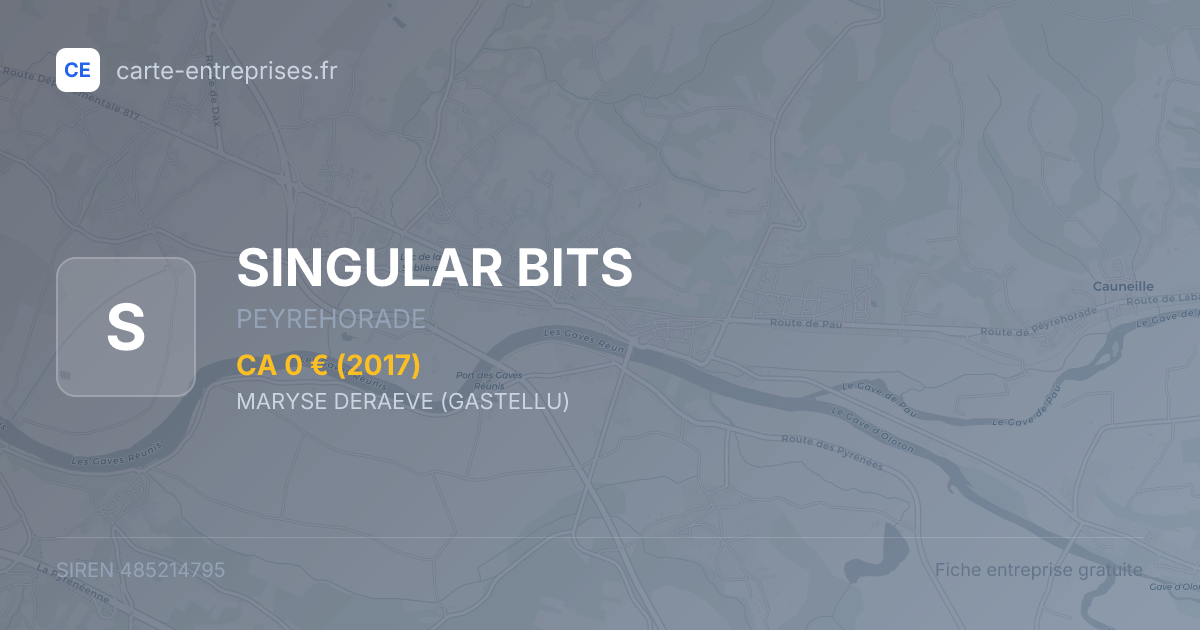 SINGULAR BITS — 485214795 — fiche entreprise