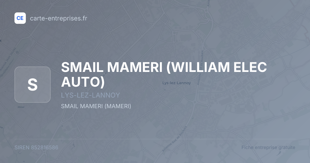 SMAIL MAMERI (WILLIAM ELEC AUTO) — 852816586 — fiche entreprise